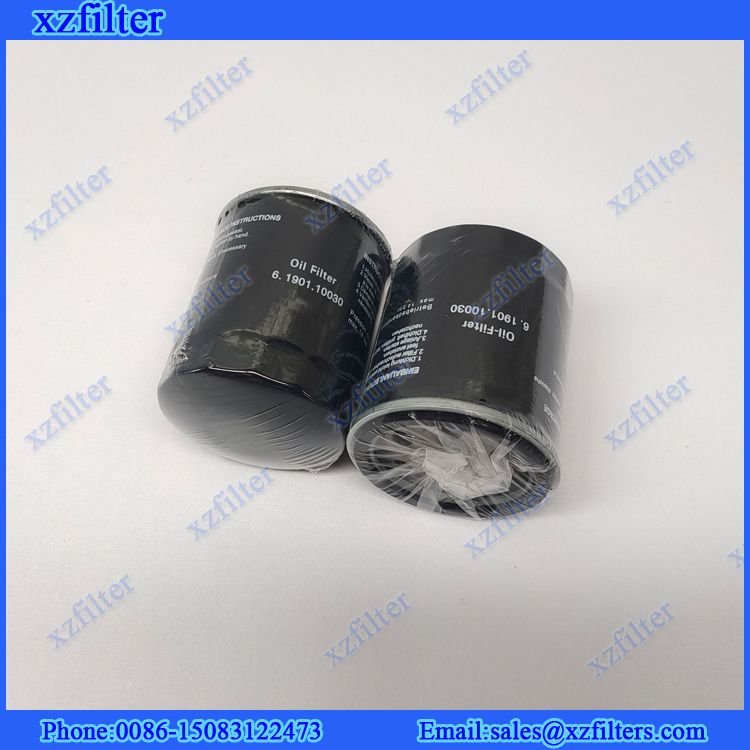Replacement Air Compressor Part Oil Filter Cartridge 6.1901.10030